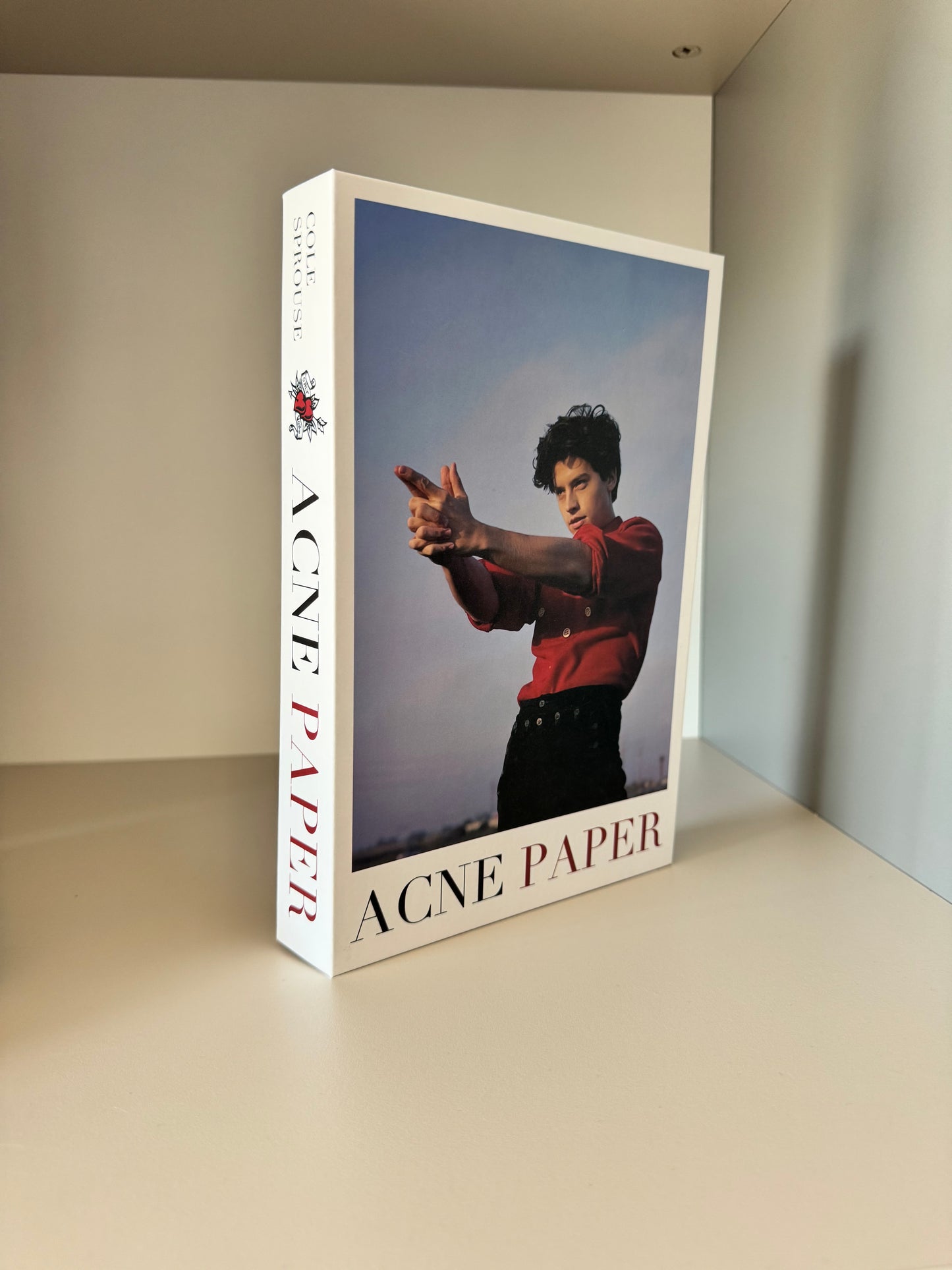 Fake Book 24x3x16cm