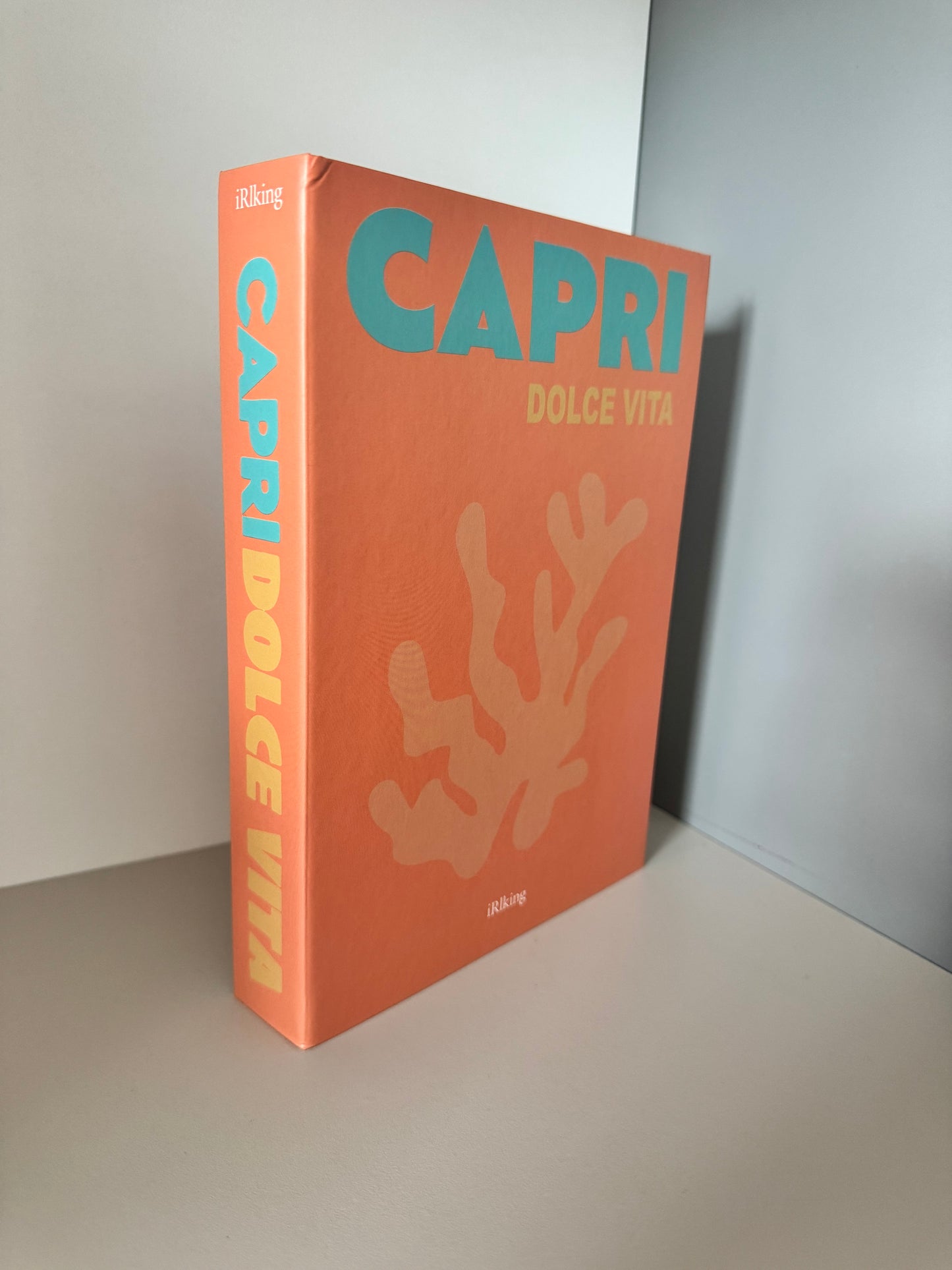 Fake Book Assouline 24x3x16cm
