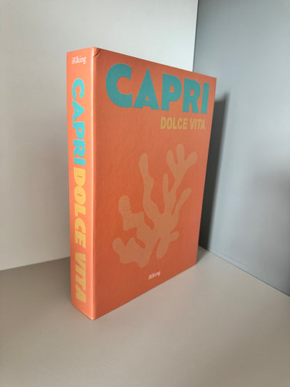 Fake Book Assouline 24x3x16cm